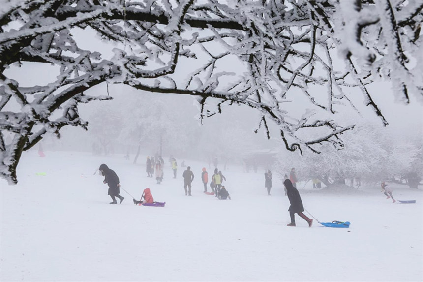 仙女山景區(qū)宛如冰雪世界。武隆景區(qū)供圖