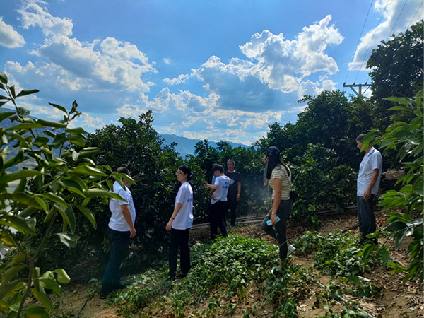 工作人員調(diào)研農(nóng)戶種植基地。建行重慶市分行供圖