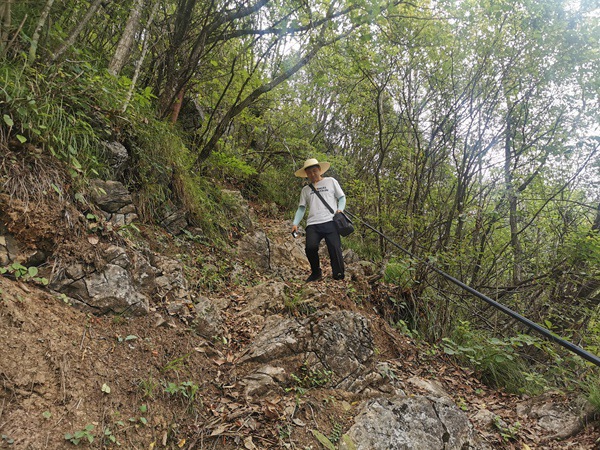 《地災點巡查》。6月9日，川東南地質大隊地災駐守隊員徐騰蛟去巫山縣官陽鎮(zhèn)老鷹村2組霧溪陽坡滑坡例行巡查的山路上。況星麟攝。