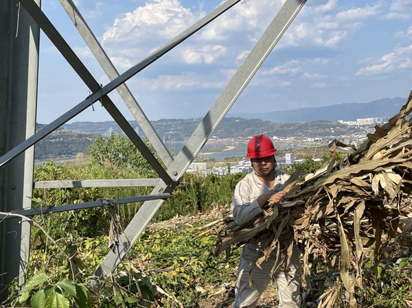 國網忠縣供電公司員工在忠縣烏楊鎮(zhèn)高寨村清理塔下易燃物。