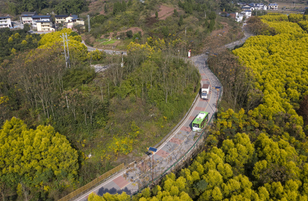 公交車行駛在北碚區(qū)西山環(huán)線天府段。秦廷富攝