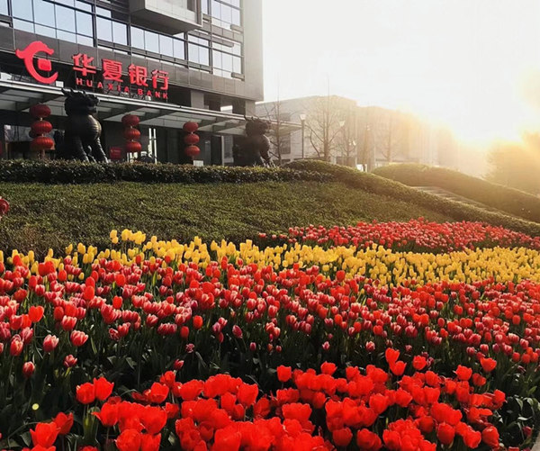 華夏銀行重慶分行大樓。華夏銀行重慶分行 供圖