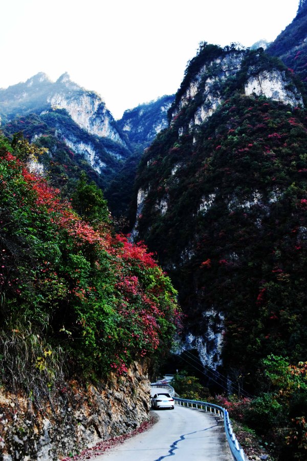 重慶市巫山縣竹賢鄉(xiāng)下莊村初冬景色。王忠虎攝