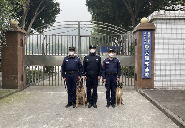 參與搜救的兩只警犬。北碚區(qū)公安分局供圖