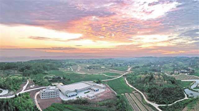 永川與西南大學(xué)夏慶友教授團(tuán)隊(duì)深化合作建設(shè)的重慶首個(gè)現(xiàn)代蠶桑產(chǎn)業(yè)基地