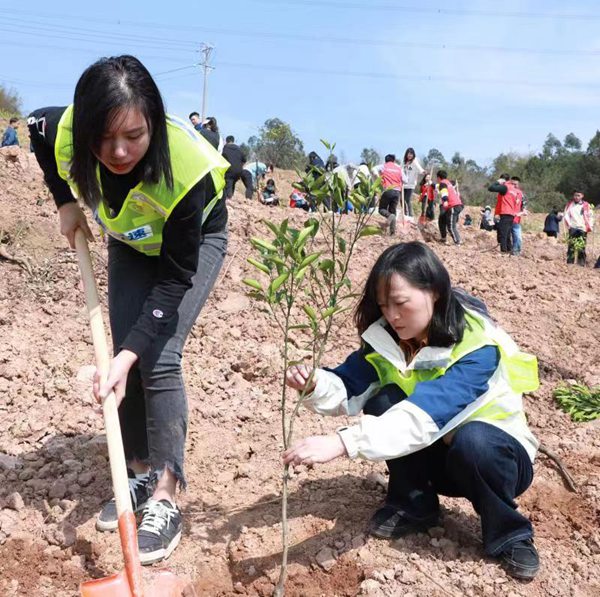 重慶高速青年員工參與植樹。重慶高速集團供圖