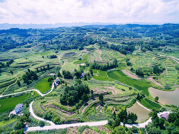 信貸支持的墊江縣東南部鄉(xiāng)村振興示范帶建設(shè)項(xiàng)目。農(nóng)發(fā)行重慶市分行供圖