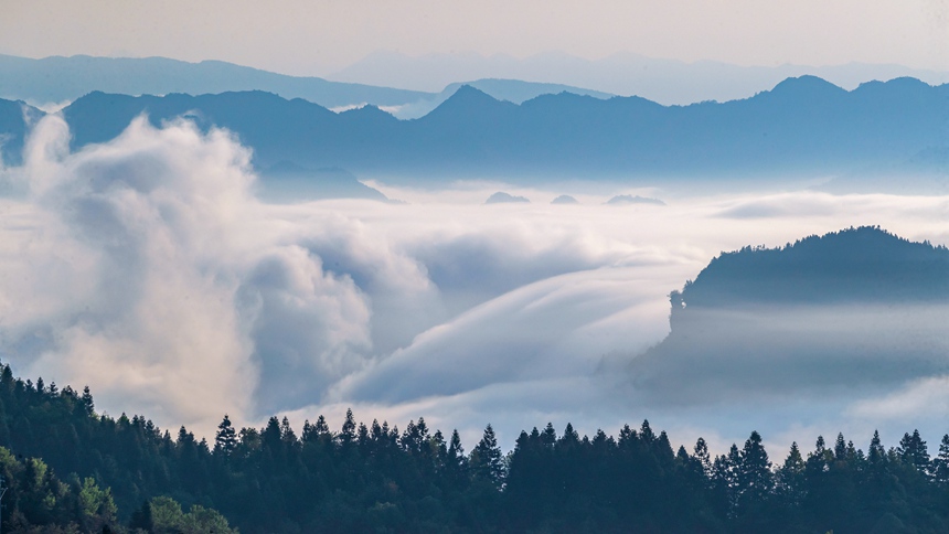 金佛山景區(qū)云霧漫山春色美。瞿明斌攝