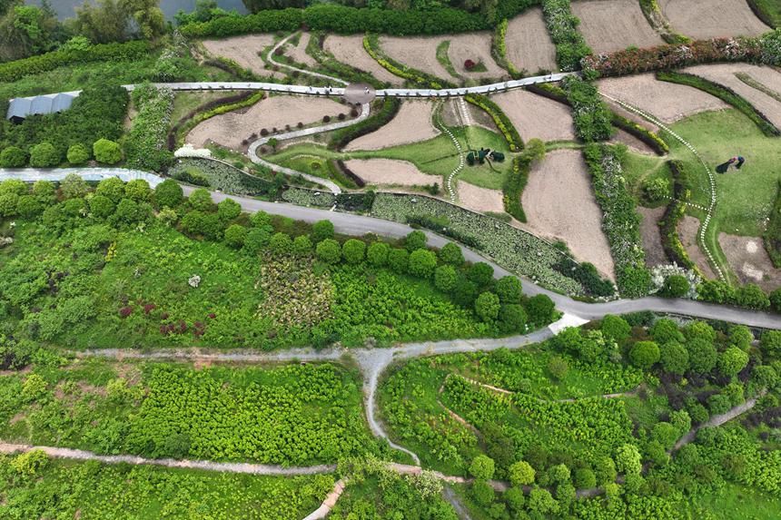 阿蓬江國(guó)家濕地公園。楊敏攝