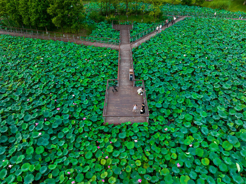 南岸區(qū)茶園疊水公園景色迷人。郭旭攝