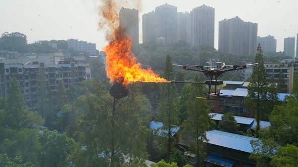 無人機(jī)在清除馬蜂窩。國(guó)網(wǎng)重慶永川供電公司供圖