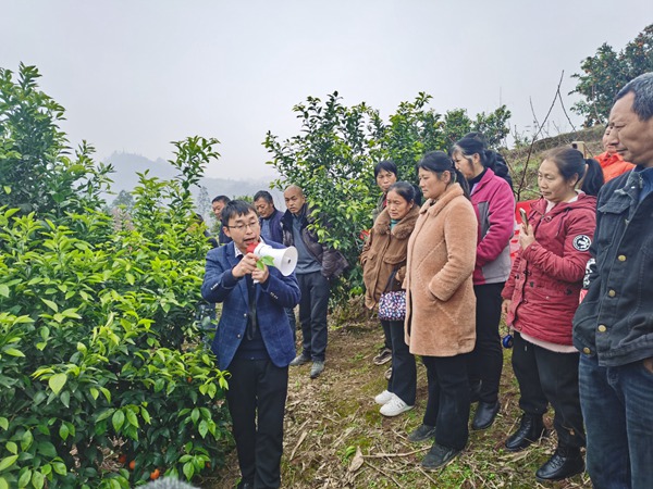 農技人員向村民傳授柑橘種植技術。龍橋街道供圖