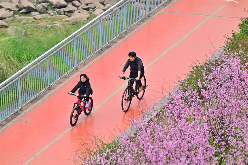 南濱路雅巴洞江灘公園，市民踏青賞花，享受周末的美好時光。郭旭攝