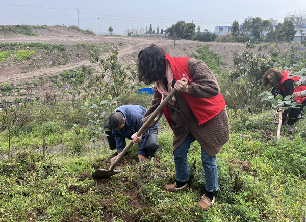 植樹活動現(xiàn)場。馨蘭路社區(qū)供圖