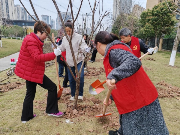 居民在公園種植新苗。復興寺社區(qū)供圖