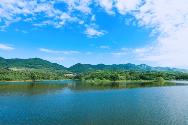 五寶鎮(zhèn)田園風(fēng)光。江北區(qū)委宣傳部供圖