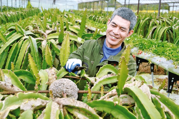 村民在示范園務(wù)工。 熊瑛攝