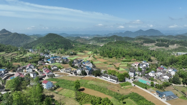 洞坪村春景如畫。胡程攝