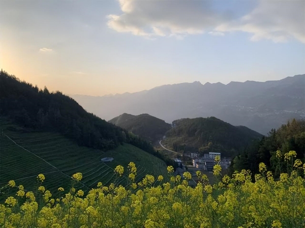 竹陽村一角。重慶市農(nóng)投集團供圖