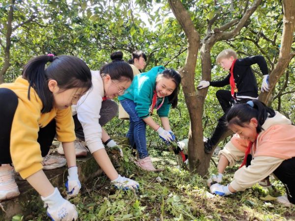 學生在勞動實踐基地鋤草。實驗小學供圖