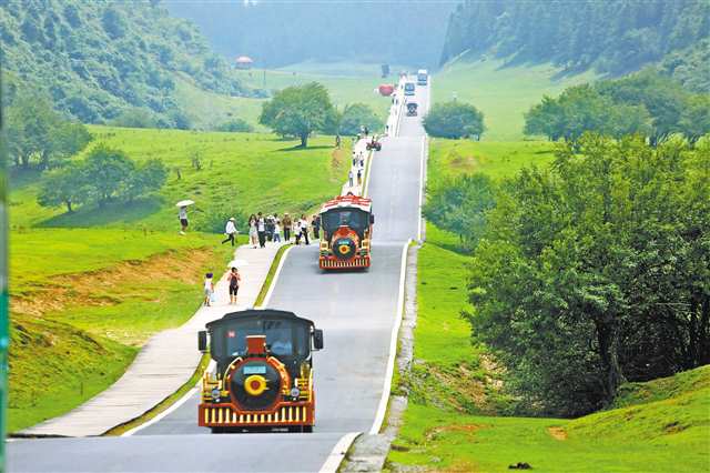 8月11日，武隆仙女山國家森林公園，旅游小火車載著游客行駛在“網(wǎng)紅公路”上。連日來的高溫天氣，讓高山避暑旅游持續(xù)火爆。記者 羅斌 攝/視覺重慶