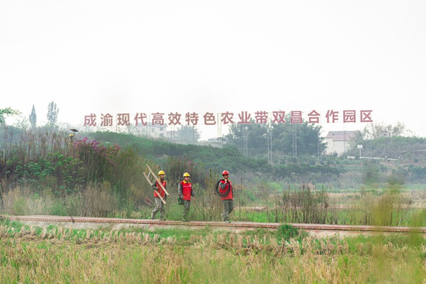 服務隊在雙昌園開展電力巡檢。國網重慶永川供電公司供圖